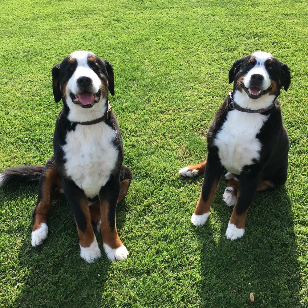 Meet your Posher, Kelsey